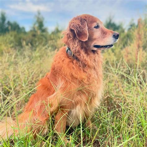 Bindi Sue | 7 years with the bestest girl by my side through all the ...