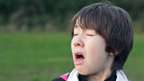 Científicos de la UMU descubren por qué estornudamos o nos pica cuando ...