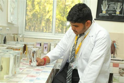 B.Sc. in Medical Microbiology, Course, Admission, Fee | DBUU