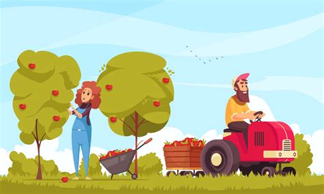 Gardening human characters with tractor during apples harvesting on ...
