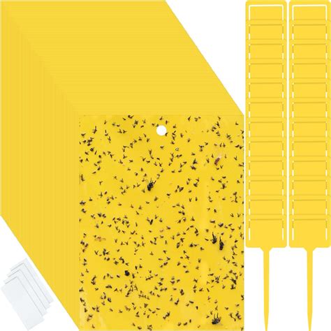 Amazon.com : 250 Pcs Sticky Traps for Gnats Dual Sided Fruit Fly Sticky ...