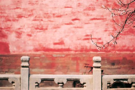 Beijing 的图像结果