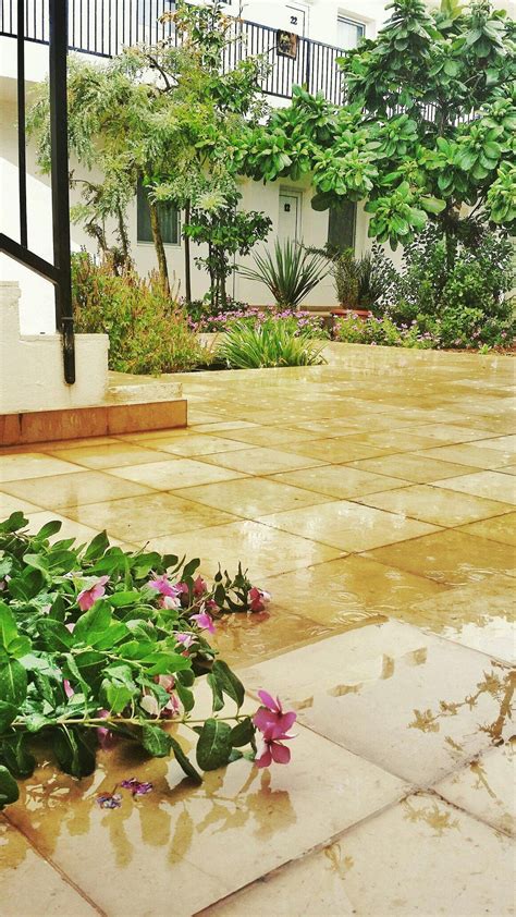 SUMMER LAND HOTEL (Socotra Island) - Hotel Reviews & Photos - Tripadvisor