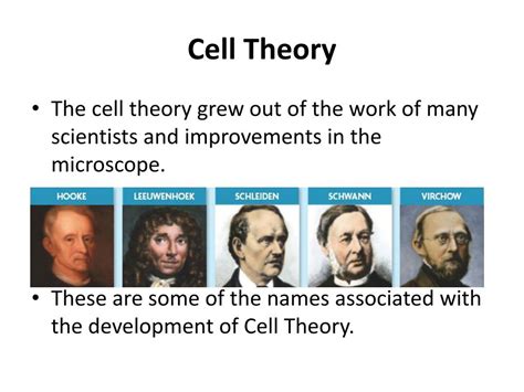 Image result for Cell Theory Explained