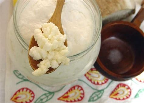 Probiotic kefir yogurt-based drugs could treat COVID-19, say Israeli ...