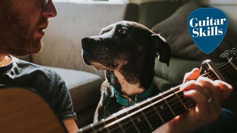 Image result for Focusrite Get Started Tutorials