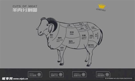 羊肉的分割——生鲜食材，羊肉篇 - 知乎