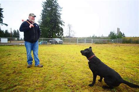 Retired military working dog honored for his Army service | Article ...