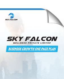 Skyfalcon