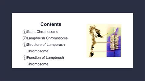 Image result for Doctor Using a Computer with Medication Chart Open