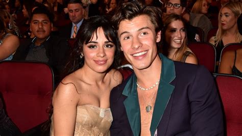 Camila Cabello and Shawn Mendes Celebrate 2 Years Together with ...