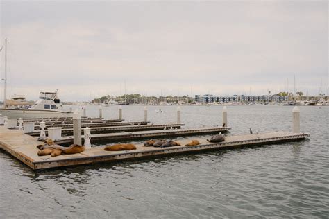 County of Los Angeles Jobs - ADMINISTRATIVE ASSISTANT I/ EMERGENCY ...