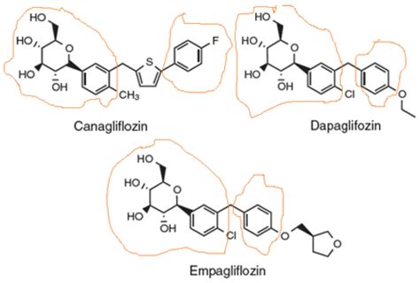 Empagliflozin and dapagliflozin have comparable long-term kidney ...