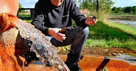 California Proposition 65 Reformulation of Chemicals in Consumer Products