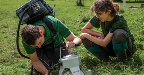 Nature Graphs 的图像结果