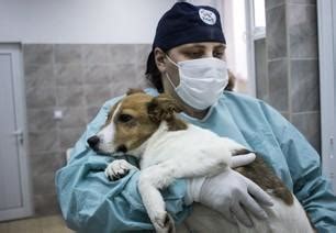 FOUR PAWS Eastern Europe Programme - FOUR PAWS International - Animal ...