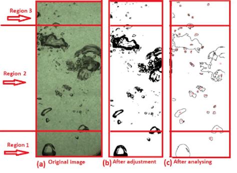 Image result for Image Processing Using ImageJ