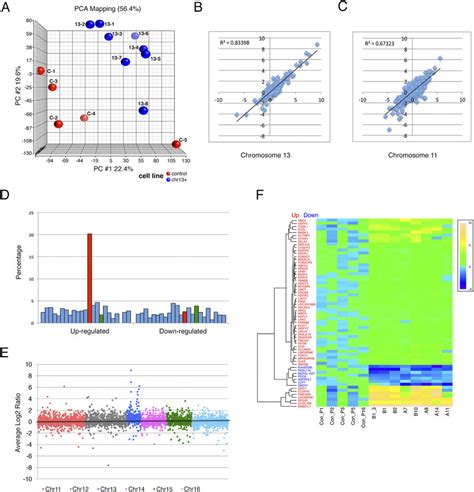 Image result for Transcriptome Analysis
