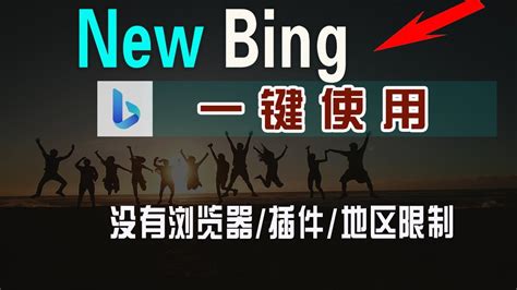 新必应 的图像结果