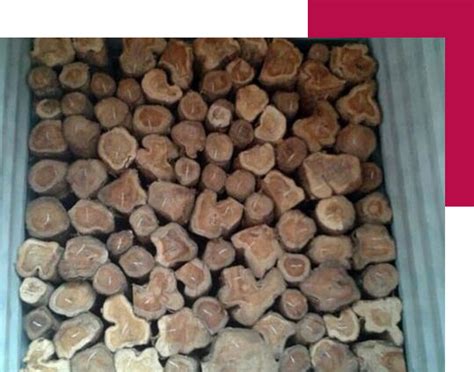 Impex & Logistics from UB Aggarwal Group of Industries, Gujarat