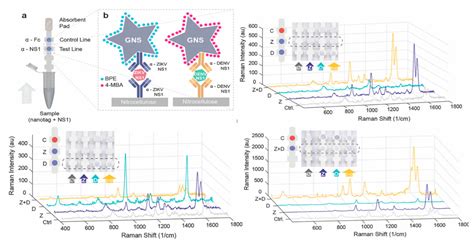Recent Advancement in the Surface-Enhanced Raman Spectroscopy-Based ...