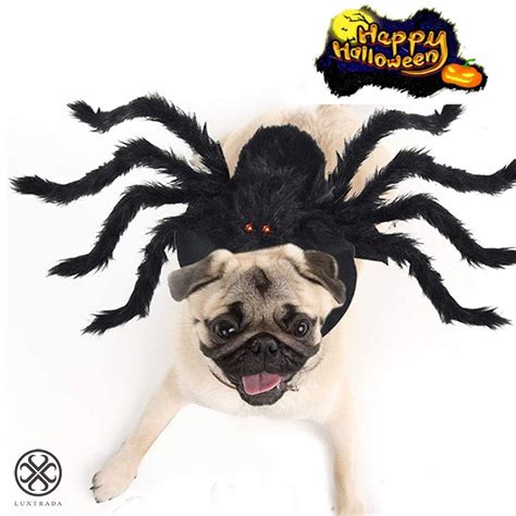 Dog Costumes Spider