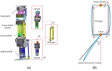 Discussion on the Stiffness of the Drive Chain in the Legs of Biped Robots