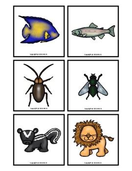 Image result for Colour Sort Fish