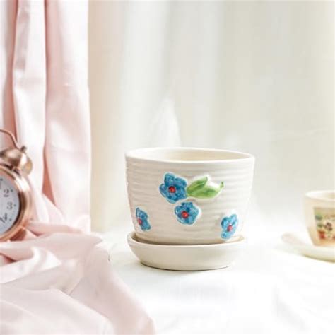 Flora D'lite White Ceramic Flower Pot with Saucer - Indoor Live Plant ...