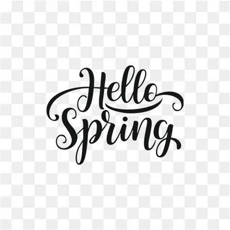 Hello Spring Calligraphy Text PNG Free Download