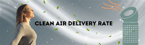 CLEAN AIR DELIVERY RATE | ME SHOP