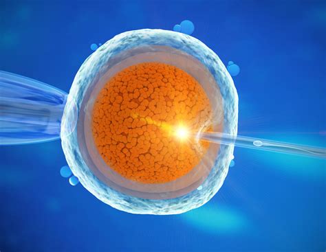 Erstbesamungen und meisteingesetzte Bullen 2016 | agrarheute.com