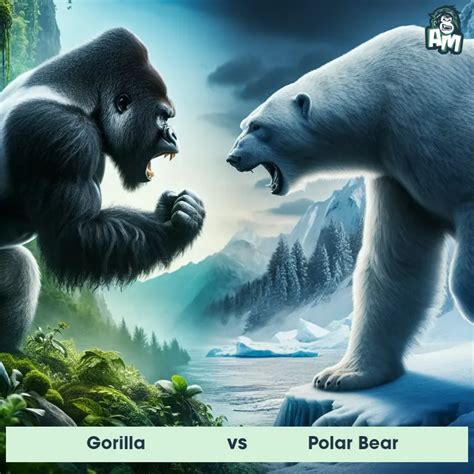 Image result for Gorilla Vs Python Fight