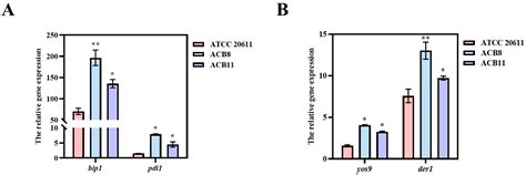 High-Level Expression of β-Glucosidase in Aspergillus niger ATCC 20611 ...