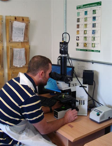 'Analyze this' | Article | The United States Army