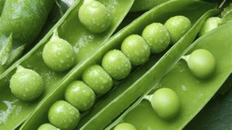 Cómo sacarle partido a la temporada de guisantes | Gastro | Ocio y ...