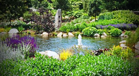 Views around the Pond, Lerner Garden of the Five Senses | Amazing ...
