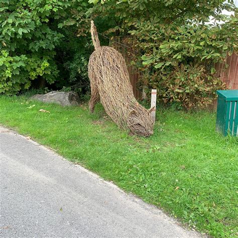 LLYS NINI RSPCA (2025) All You Need to Know BEFORE You Go (with Photos ...