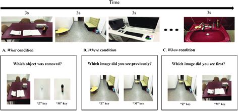 Image result for Visual Scene