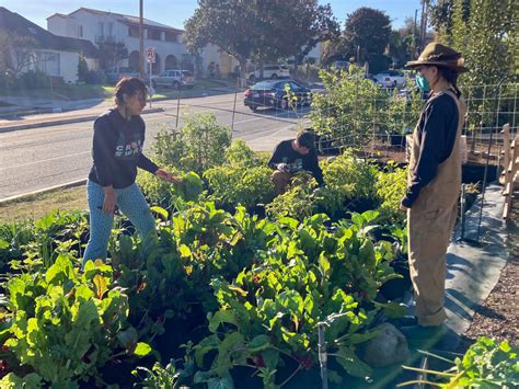 Local Food Producers 的图像结果