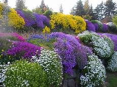piante fiorite perenni aiuole fiorite perenni ecco come progettarle villegiardini piante fiorite perenni aiuole fiorite perenni ecco come progettarle villegiardini
