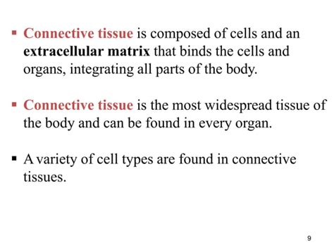 Connective Tissue Tutorial 的图像结果