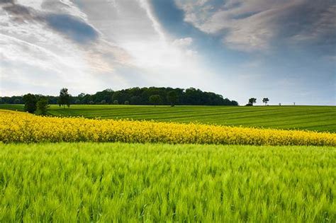 Field Calculator Python 的图像结果