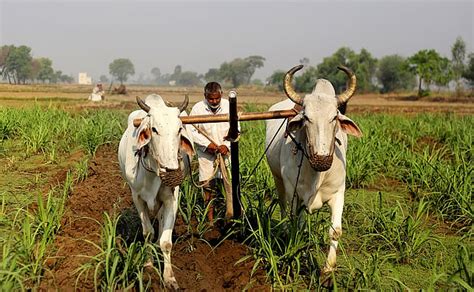 latest news and updates on Agriculture, Farming, Food Processing, Farm ...