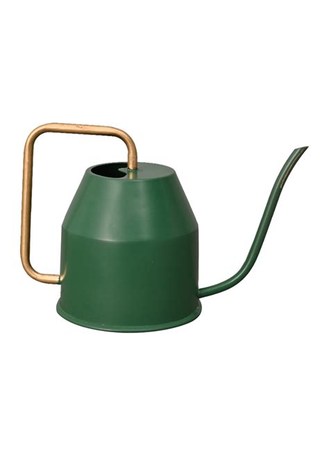 Watering Cans - Buy Watering Can Online for Plants | Ugaoo