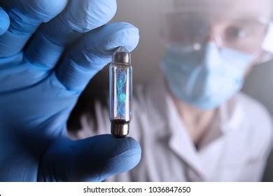 Recombinant DNA 的图像结果