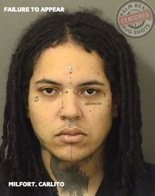 Palm Beach Mug Shots - MILFORT, CARLITO Arresting Agency: 01-PBSO ...