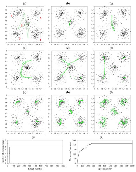 Evolution of SOMs’ Structure and Learning Algorithm: From Visualization ...