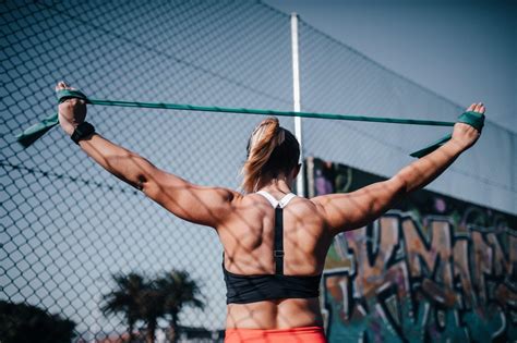 Image result for Exercices Musculation Bras