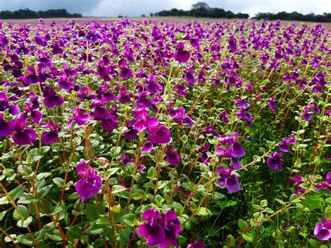 Woman Solo Travel: 5 Places In Maharashtra That Are Completely Safe For ...